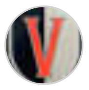 Vermillion Insurance — logo